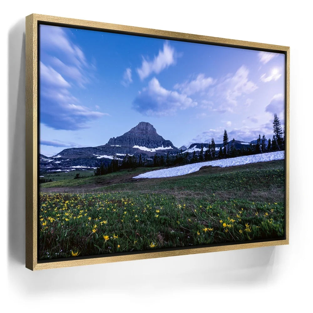 Featured image 7 for Moonlit Meadow