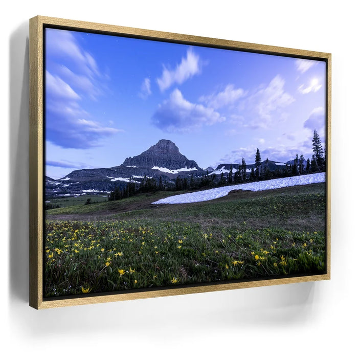 Featured image 7 for Moonlit Meadow