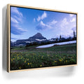 Featured image 9 for Moonlit Meadow