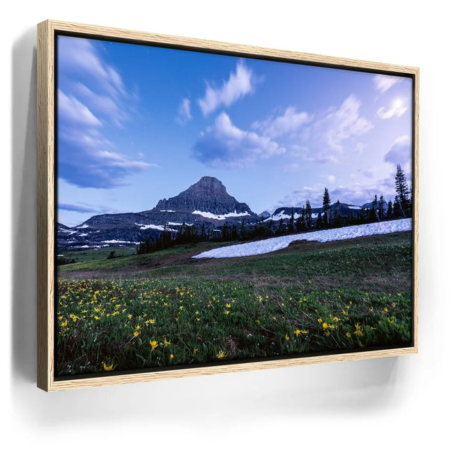 Featured image 9 for Moonlit Meadow
