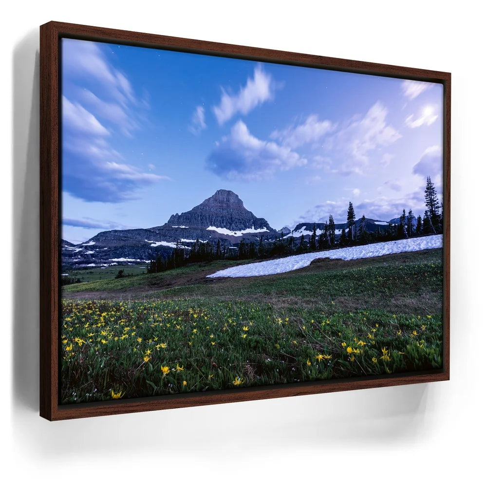 Featured image 10 for Moonlit Meadow