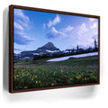 Featured image 10 for Moonlit Meadow