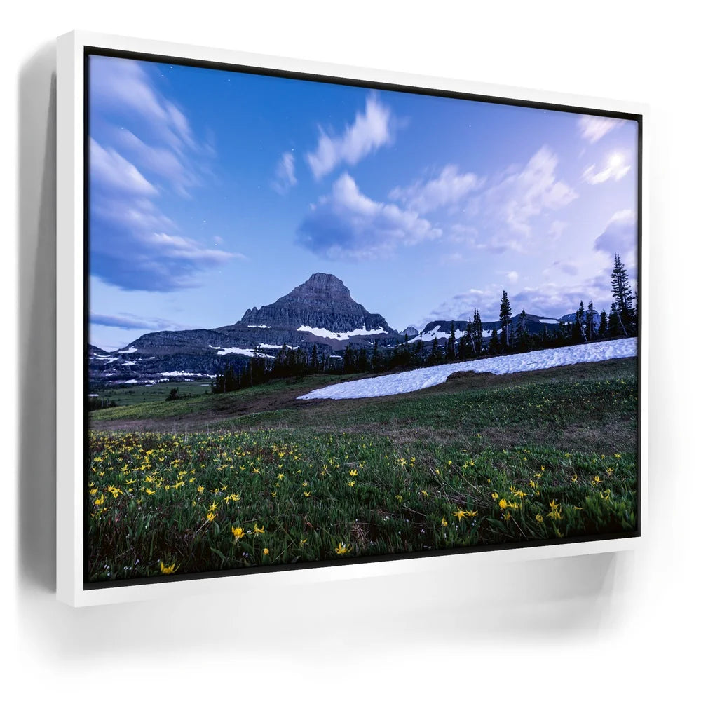Featured image 6 for Moonlit Meadow
