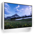 Featured image 6 for Moonlit Meadow