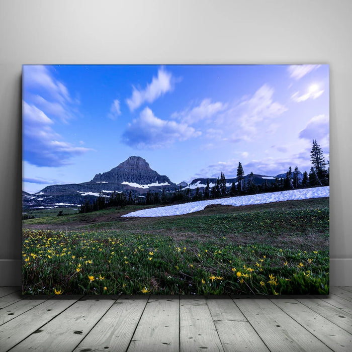 Featured image 1 for Moonlit Meadow
