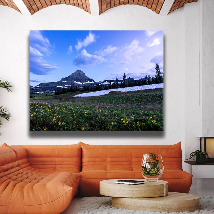 Featured image 2 for Moonlit Meadow