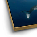 Thumbnail image 12 for Moorea Humpback - Tahiti