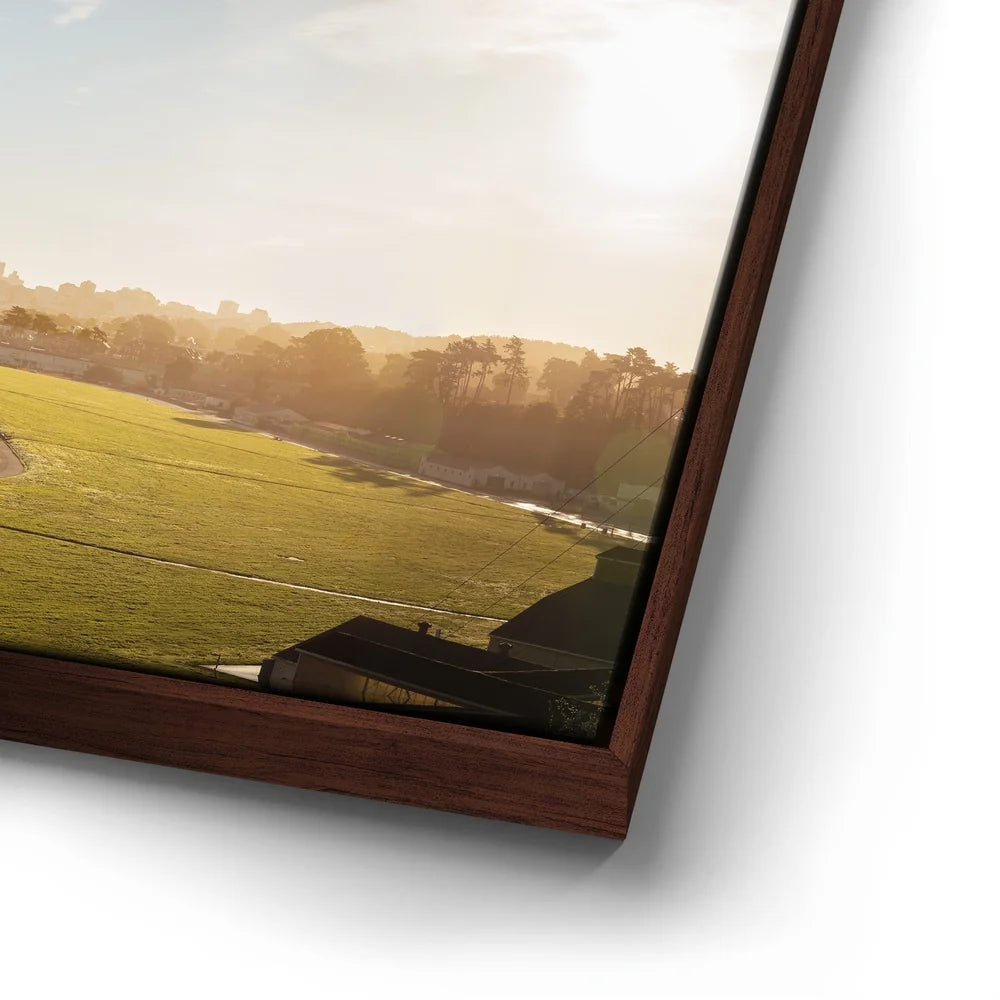 Featured image 14 for Morning Light - Crissy Field, San Francisco