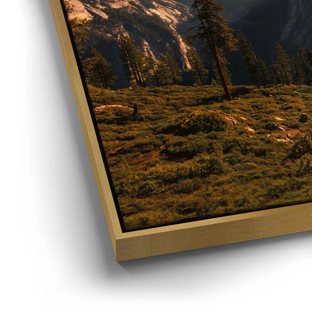 Featured image 12 for Morning Vista - Yosemite, CA