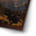 Thumbnail image 14 for Morning Vista - Yosemite, CA