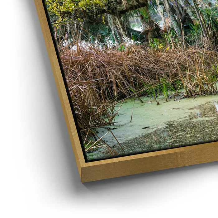 Featured image 12 for Mossy Southern Bridge