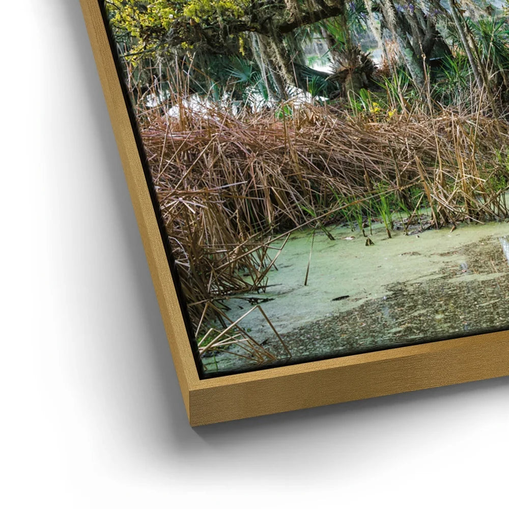 Featured image 12 for Mossy Southern Bridge