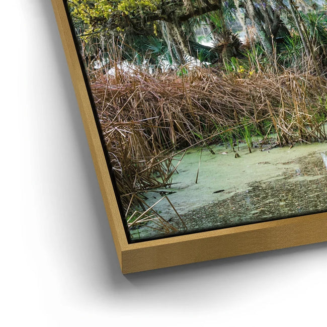 Featured image 12 for Mossy Southern Bridge