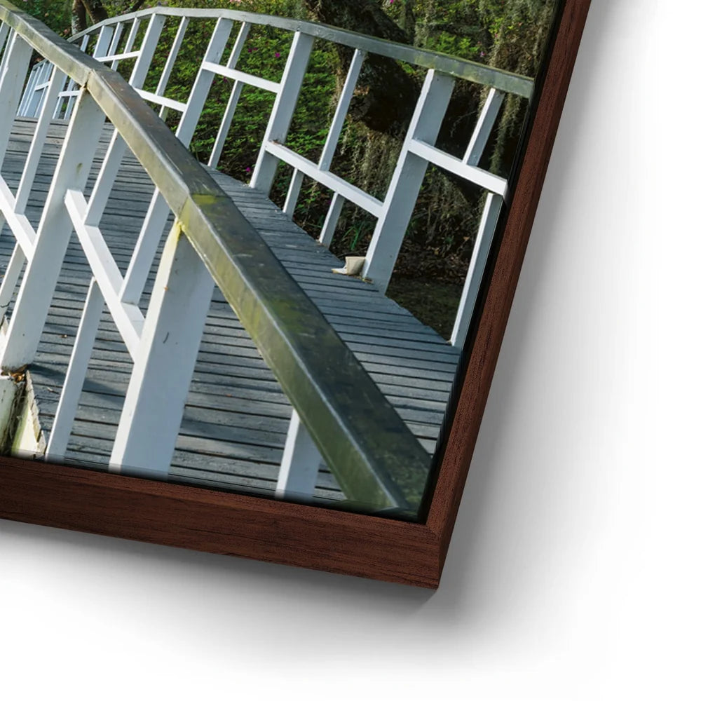 Featured image 14 for Mossy Southern Bridge