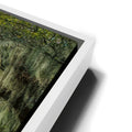 Thumbnail image 13 for Mossy Southern Bridge
