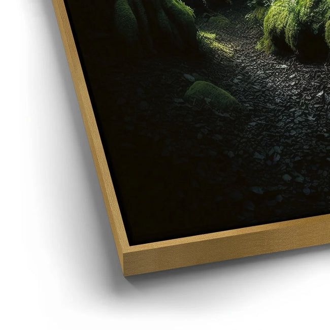 Featured image 12 for Mossy Tree