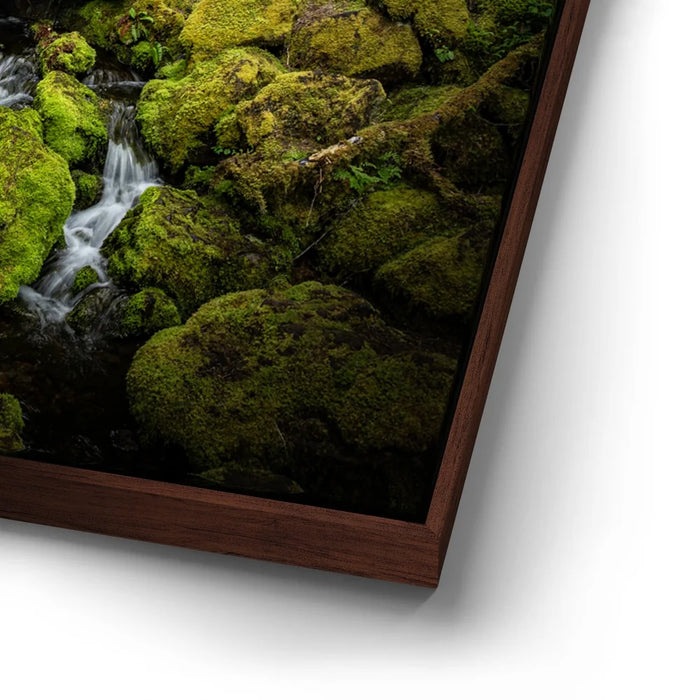 Featured image 14 for Mossy Waterfall