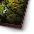 Thumbnail image 14 for Mossy Waterfall