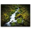 Featured image 1 for Mossy Waterfall