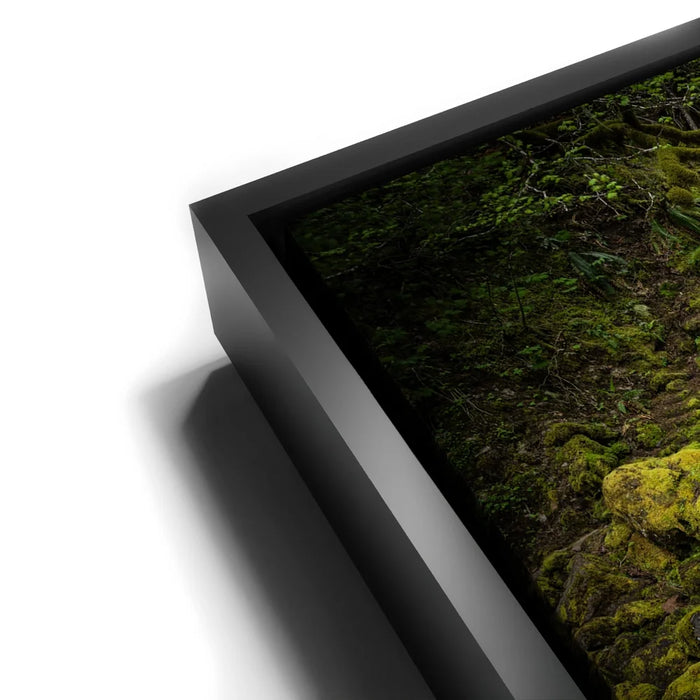 Featured image 11 for Mossy Waterfall