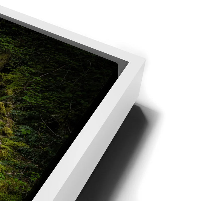 Featured image 13 for Mossy Waterfall