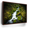 Featured image 10 for Mossy Waterfall