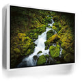 Featured image 6 for Mossy Waterfall