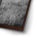 Thumbnail image 14 for Mothers Day