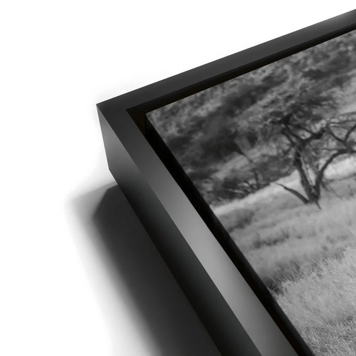 Featured image 11 for Mothers Day