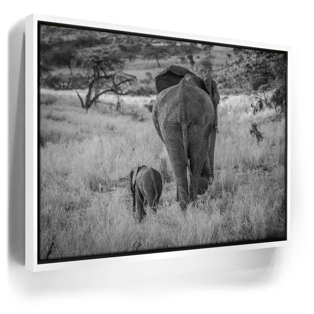 Featured image 6 for Mothers Day