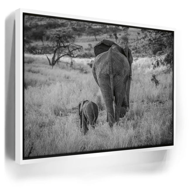 Featured image 6 for Mothers Day