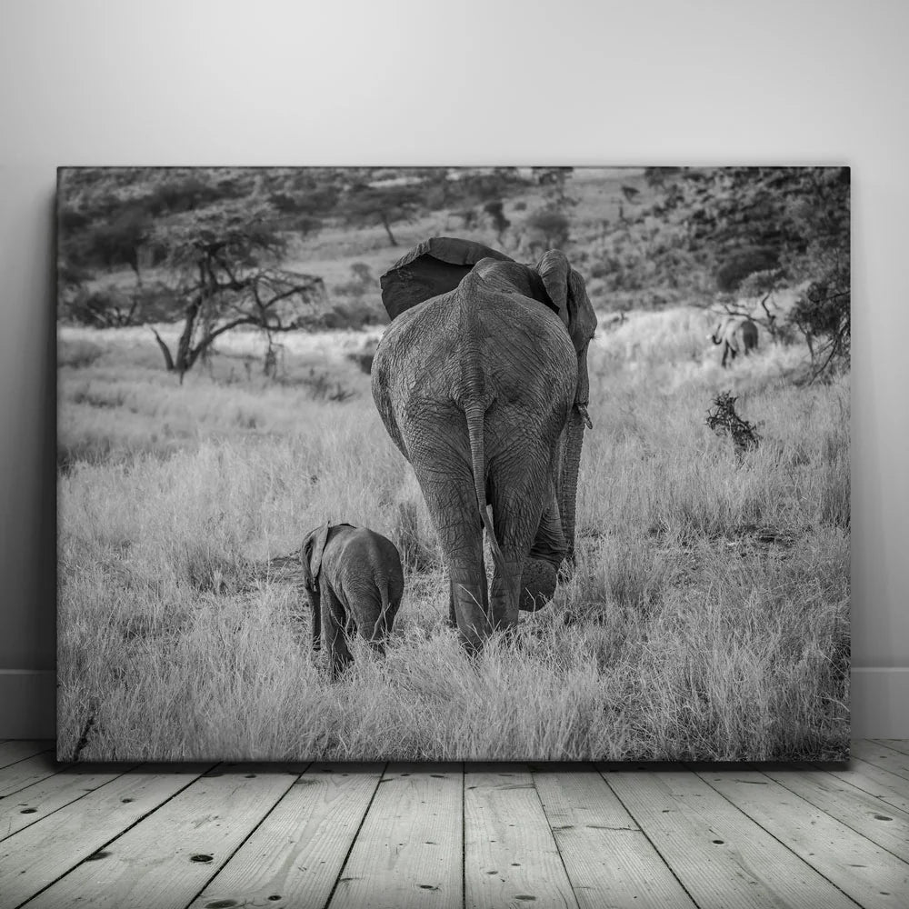 Featured image 1 for Mothers Day