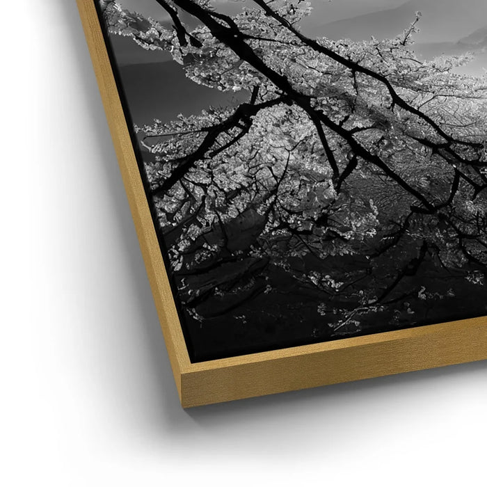 Featured image 12 for Mount Fuji Cherry Blossom Sunrise - B & W