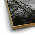 Thumbnail image 12 for Mount Fuji Cherry Blossom Sunrise - B & W