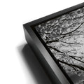 Thumbnail image 11 for Mount Fuji Cherry Blossom Sunrise - B & W