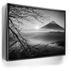 Featured image 5 for Mount Fuji Cherry Blossom Sunrise - B & W