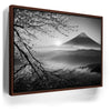 Featured image 10 for Mount Fuji Cherry Blossom Sunrise - B & W
