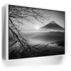 Featured image 6 for Mount Fuji Cherry Blossom Sunrise - B & W