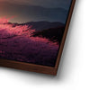 Thumbnail image 14 for Mount Fuji Cherry Blossom Sunrise