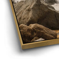 Thumbnail image 12 for Mutant Wave at the Wedge