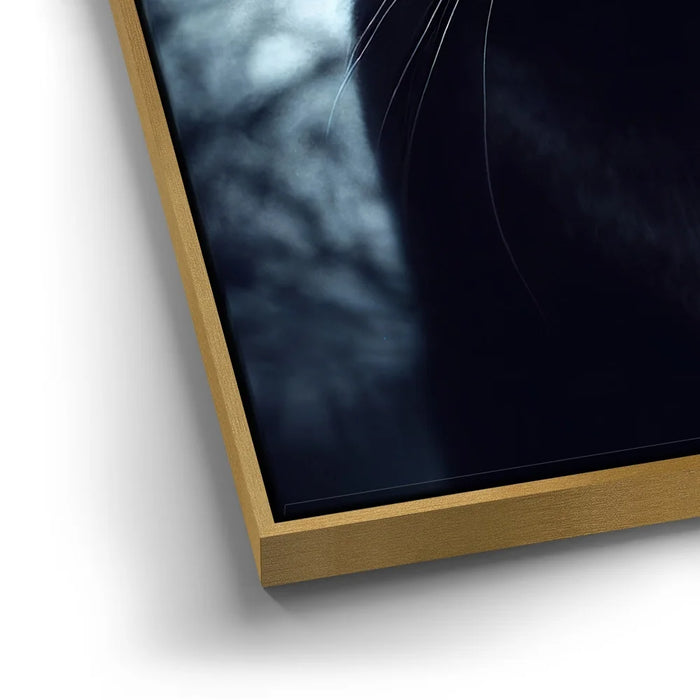 Featured image 12 for Mystical Black Cat