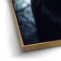 Thumbnail image 12 for Mystical Black Cat