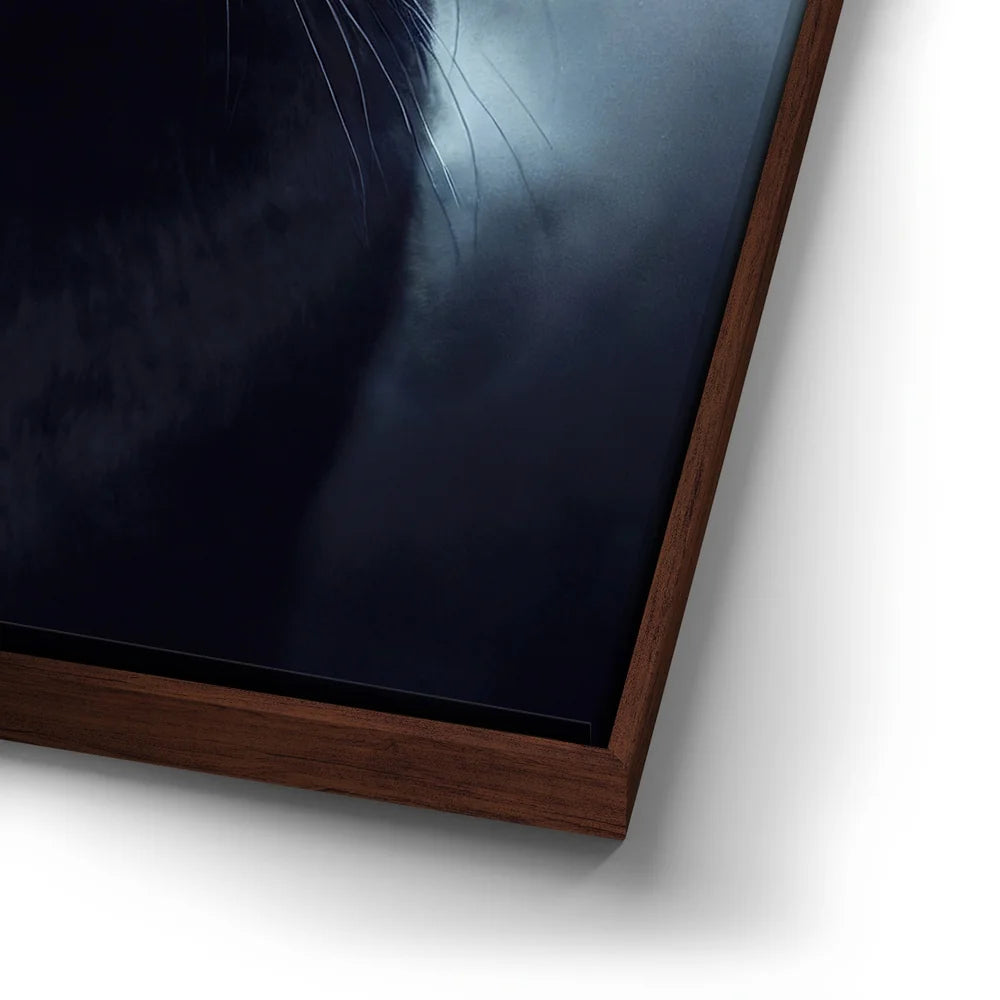 Featured image 14 for Mystical Black Cat