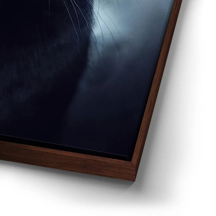 Featured image 14 for Mystical Black Cat