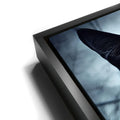 Thumbnail image 11 for Mystical Black Cat