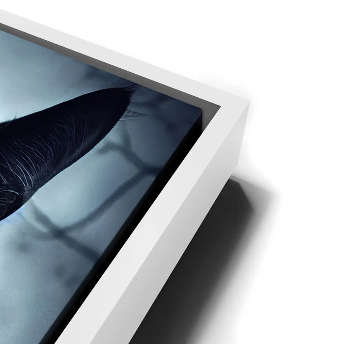 Featured image 13 for Mystical Black Cat