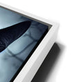 Thumbnail image 13 for Mystical Black Cat