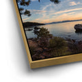 Thumbnail image 12 for Nature's Elegance