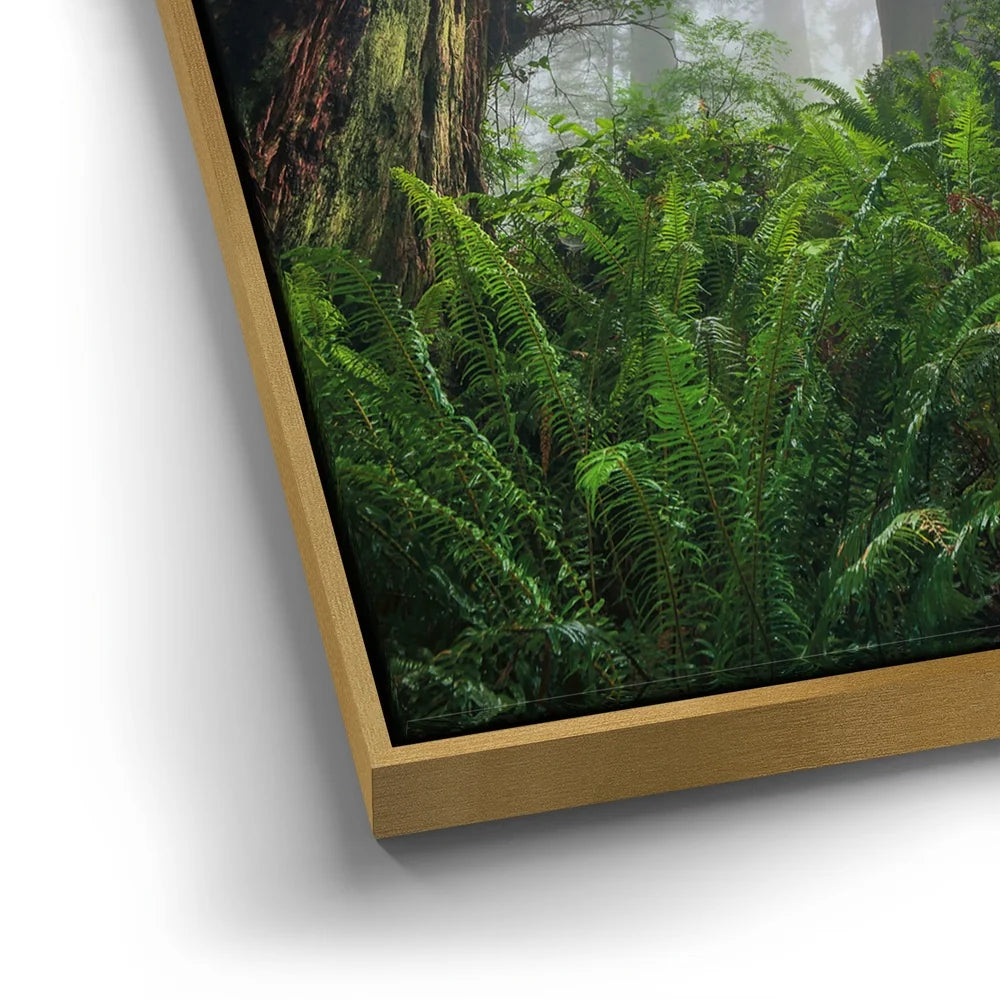 Featured image 12 for Nature's Sentinels