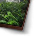 Thumbnail image 14 for Nature's Sentinels
